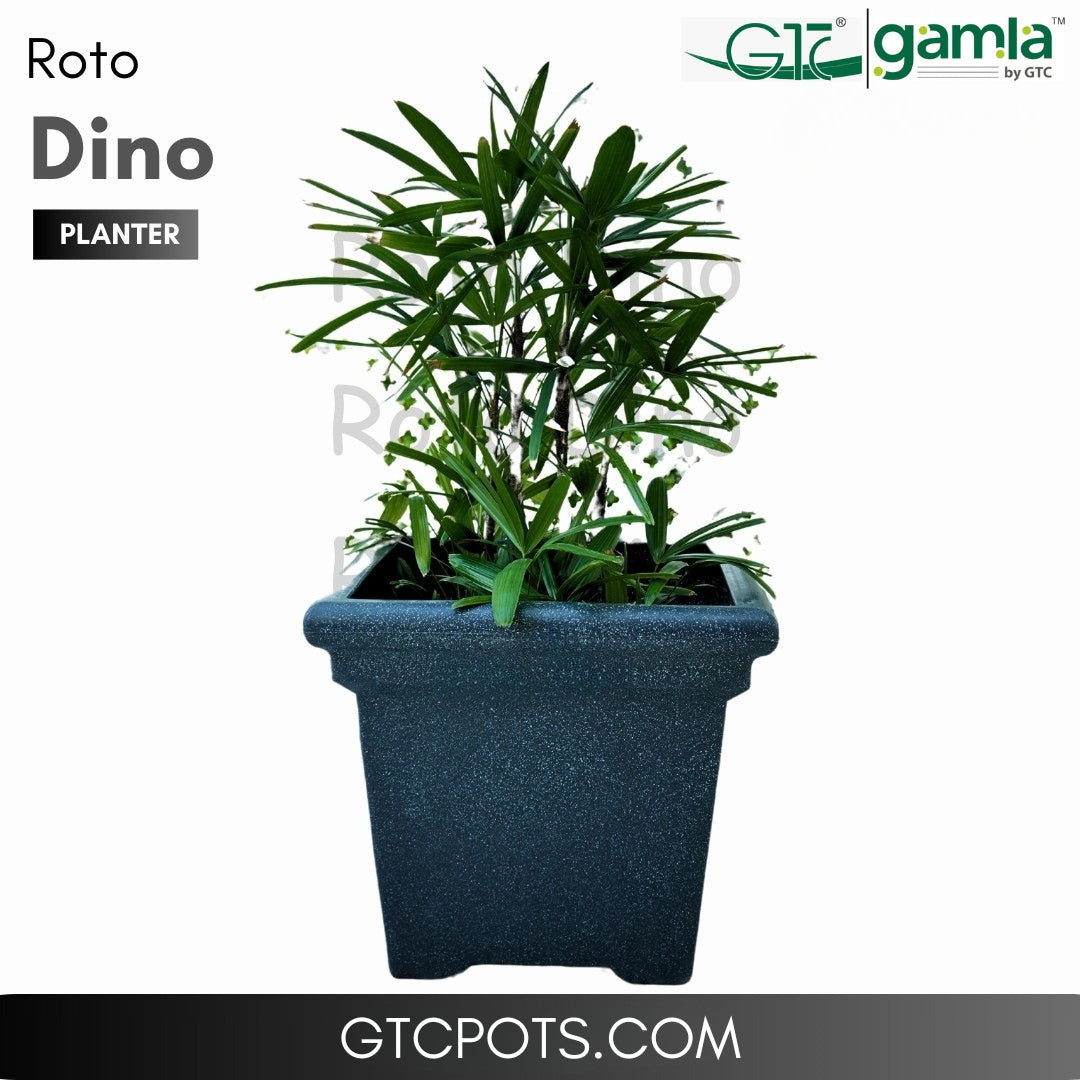 Dino Planter Roto Moulding Suitable for Home, Gardens, Hotels and Resorts