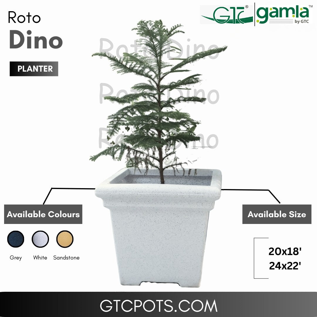 Dino Planter Roto Moulding Suitable for Home, Gardens, Hotels and Resorts